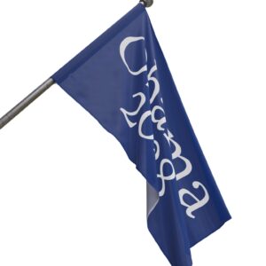 Obama 2028 Flag