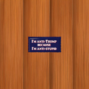 I'm Anti-Trump Because I'm Anti-Stupid Sticker – Funny Political Vinyl Decal